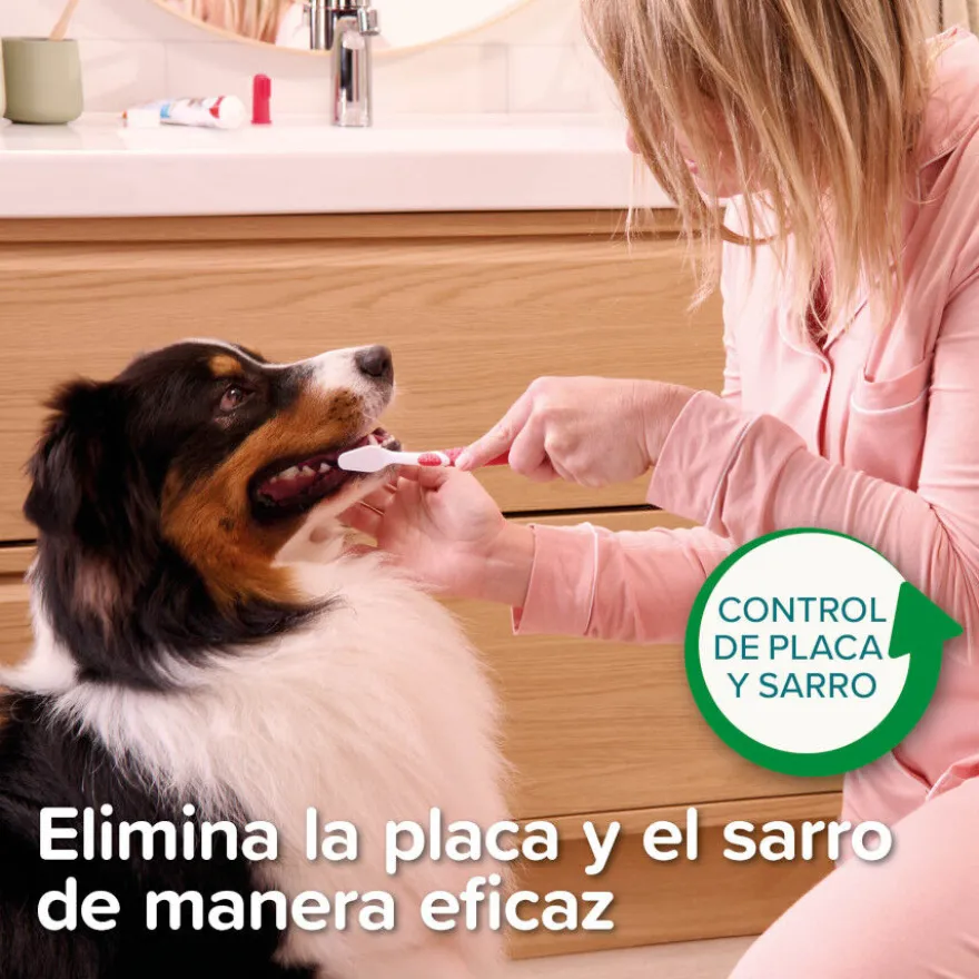 Beaphar Pasta Dental Menta Perejil para Perros y Gatos