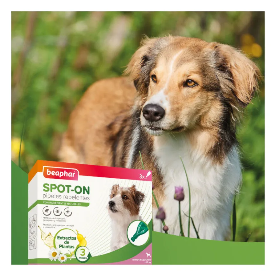 Beaphar Pipetas Repelentes para perros