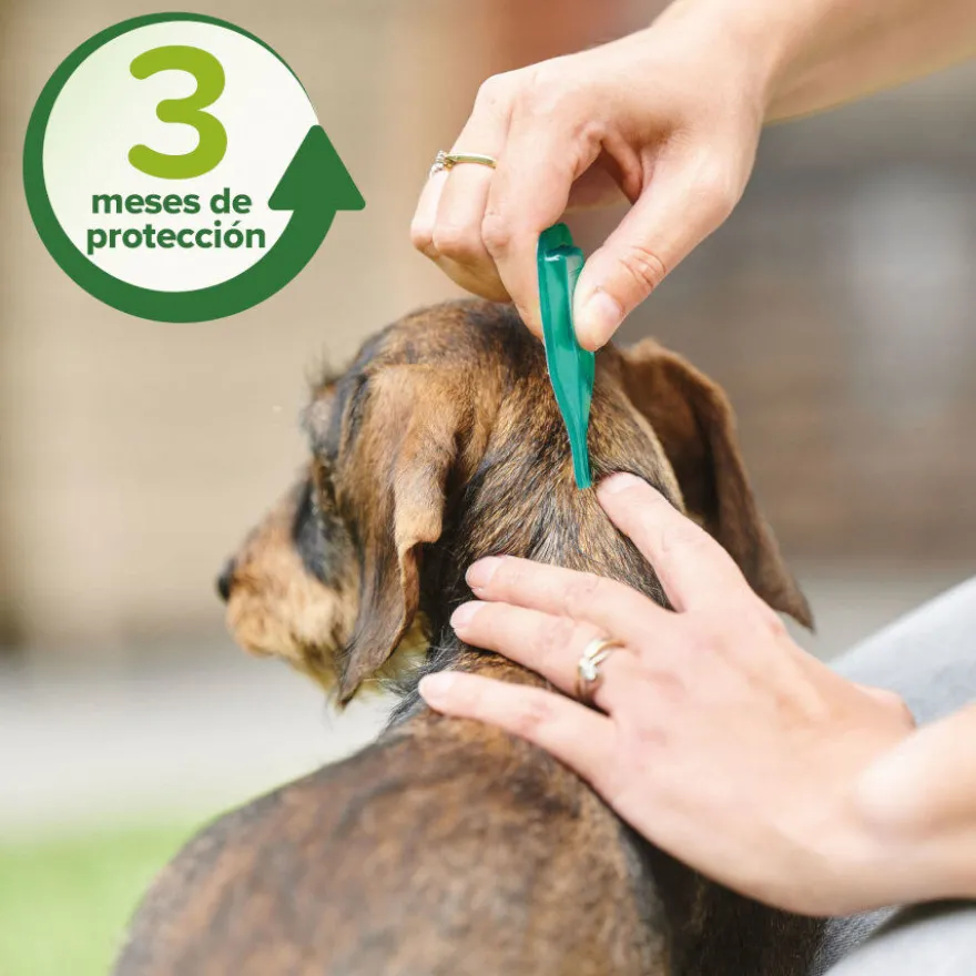 Beaphar Pipetas Repelentes para perros