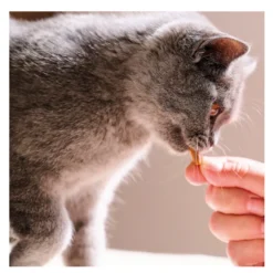 Beaphar Snacks Dentales para gatos