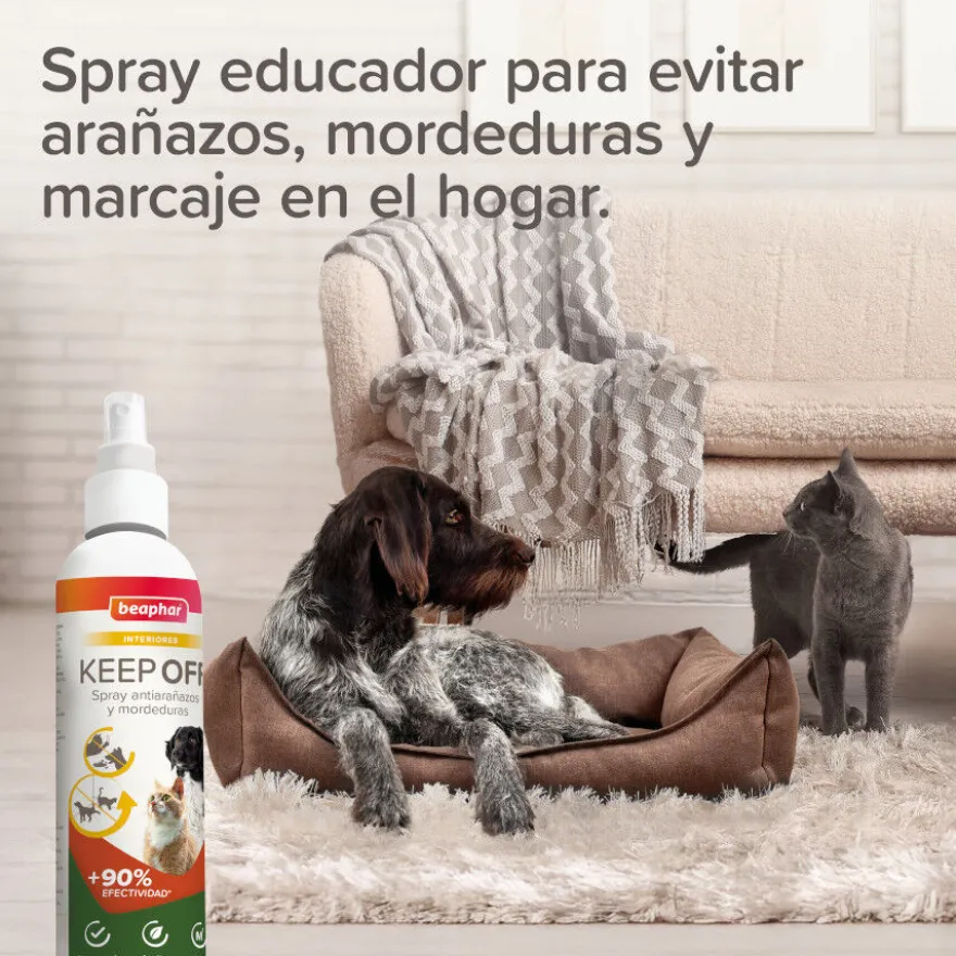 Beaphar Spray Educador Interiores para Perros y Gatos