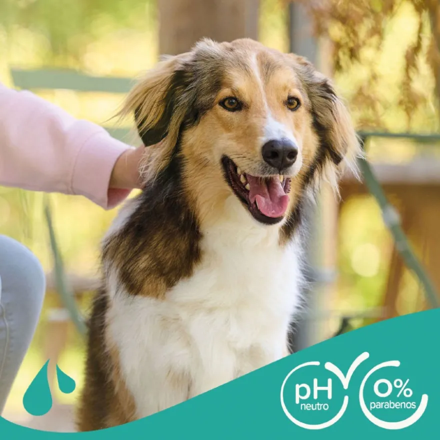 Beaphar Universal Champú para perros