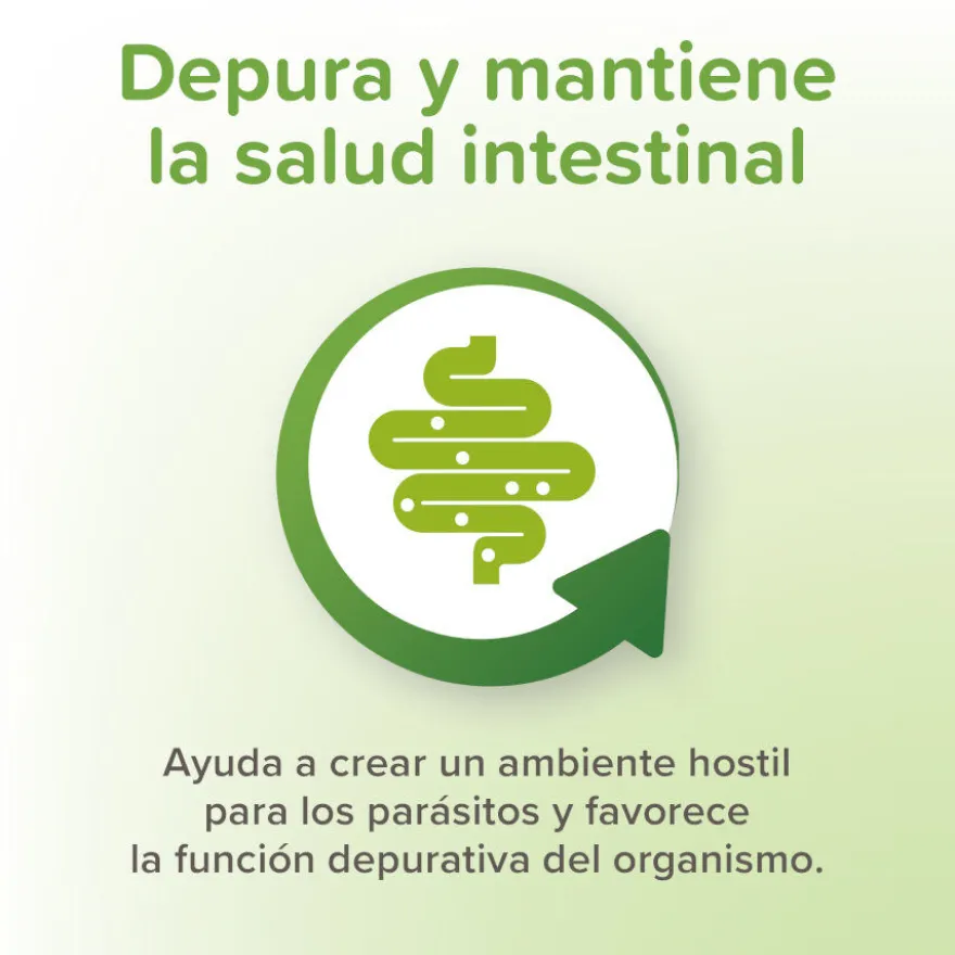 Beaphar Vermipure Repelente Interno Natural en comprimidos para perros pequeños y cachorros