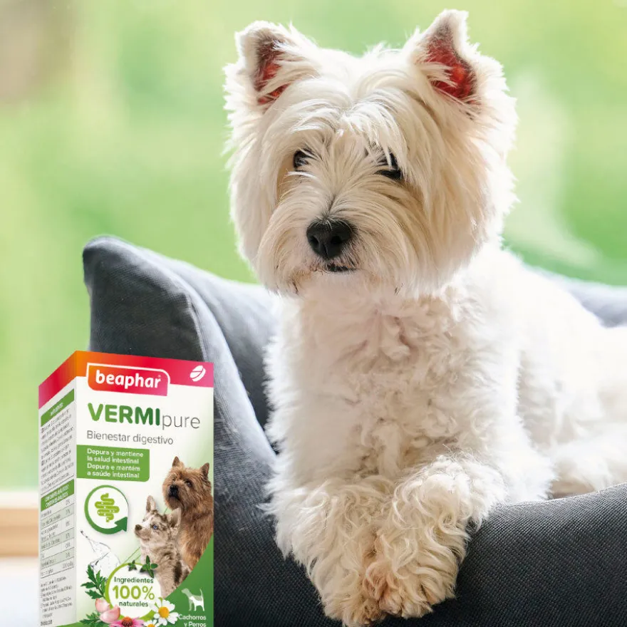 Beaphar Vermipure Repelente Interno Natural en comprimidos para perros pequeños y cachorros
