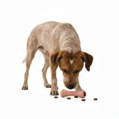 BECO Hueso Portagolosinas de Goma Rosa para perros