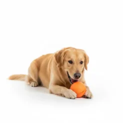 BECO Pelota Portagolosinas de Goma Naranja para perros