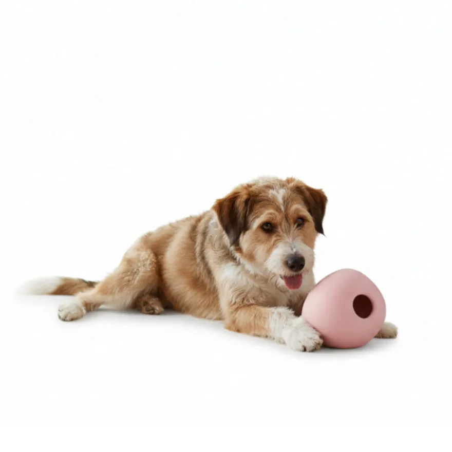 BECO Pelota Portagolosinas de Goma Rosa para perros