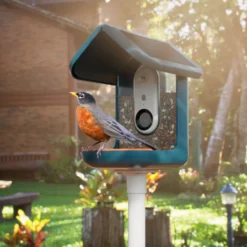 Birdbuddy Comedero Inteligente con Cámara para pájaros