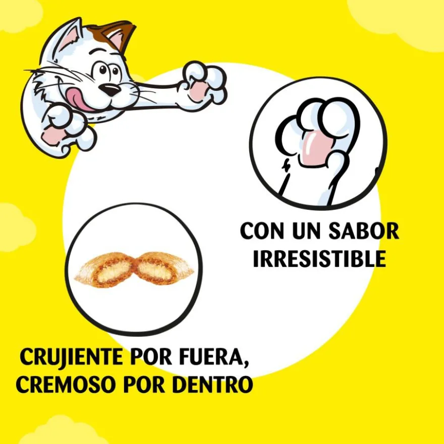 Catisfactions Premios de Salmón para Gatos