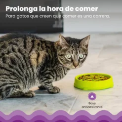 Catstages Cat Fun Comedero Lento Verde para gatos