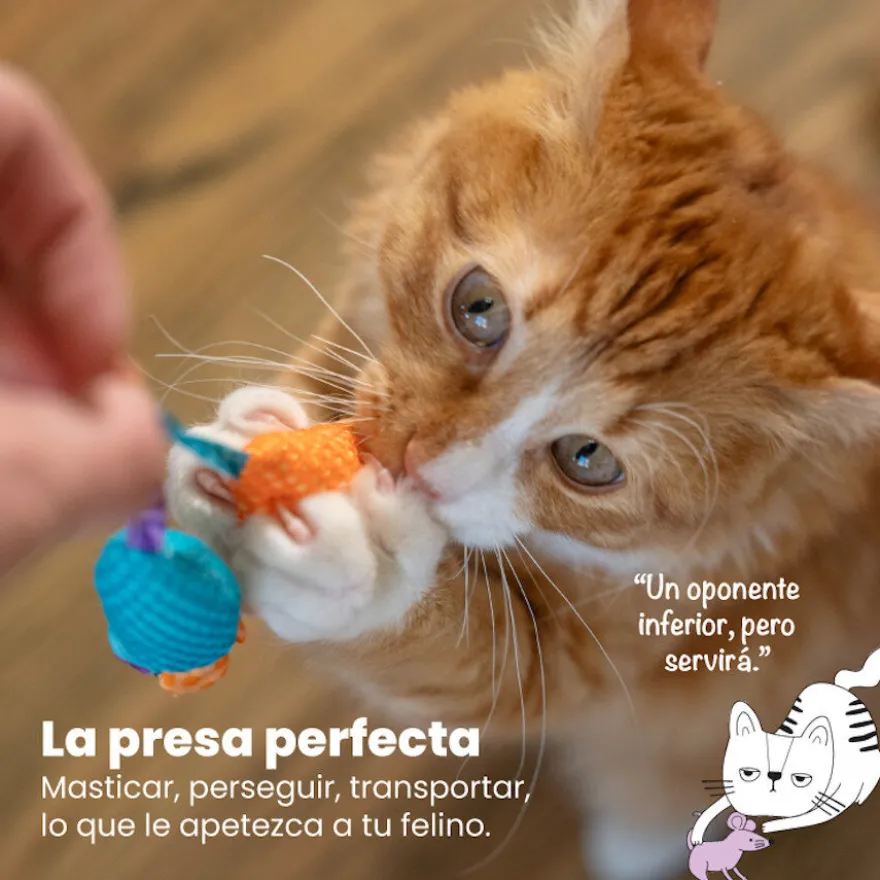 Catstages Chew Ratón con Catnip para gatos