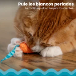 Catstages Chew Ratón con Catnip para gatos