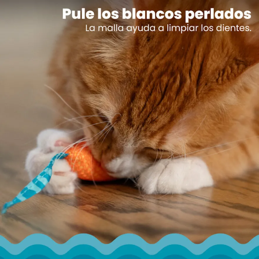 Catstages Chew Ratón con Catnip para gatos