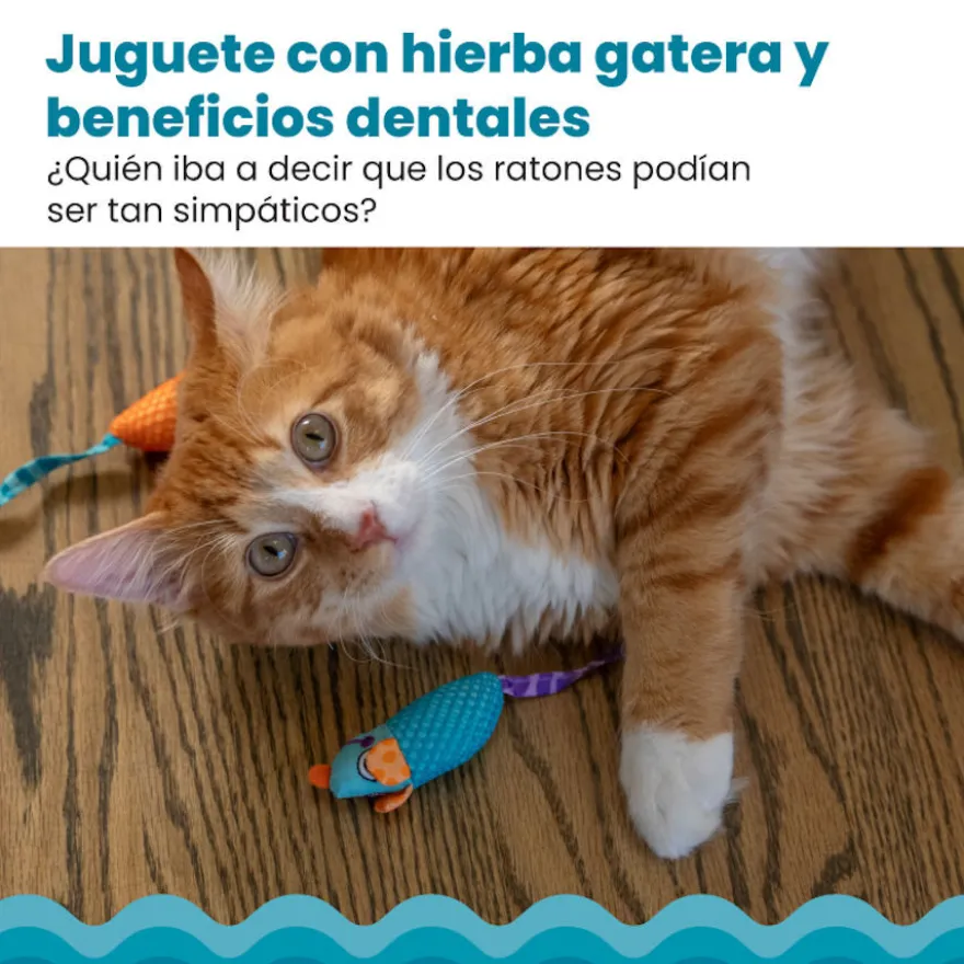 Catstages Chew Ratón con Catnip para gatos