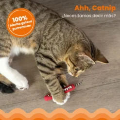 Catstages Green Magic Dynamite Rojo Peluche para gatos