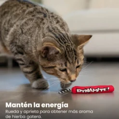 Catstages Green Magic Dynamite Rojo Peluche para gatos