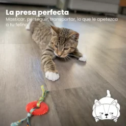 Catstages Kitty Chew Roja Rueda Mordedor para gatos