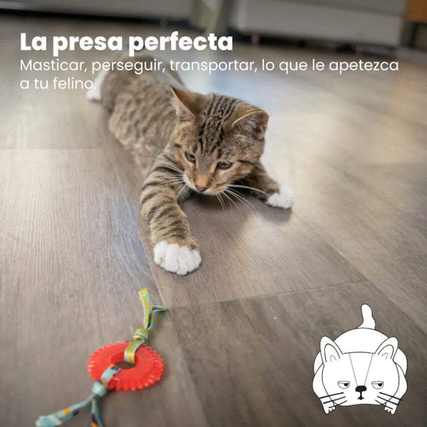Catstages Kitty Chew Roja Rueda Mordedor para gatos