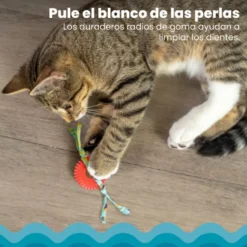 Catstages Kitty Chew Roja Rueda Mordedor para gatos