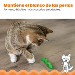 Catstages OrkaKat Gusano de Goma para gatos