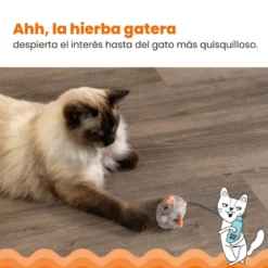 Catstages Squeaky Squeaky Gris Ratón de Juguete con Catnip para gatos
