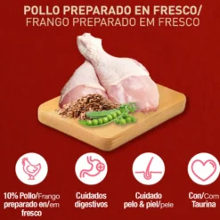 Catxtreme Adult Skin & Coat Sterilised Pollo pienso para gatos