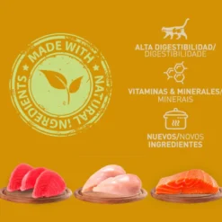 Catzilla Adult Grain Paté latas para gatos