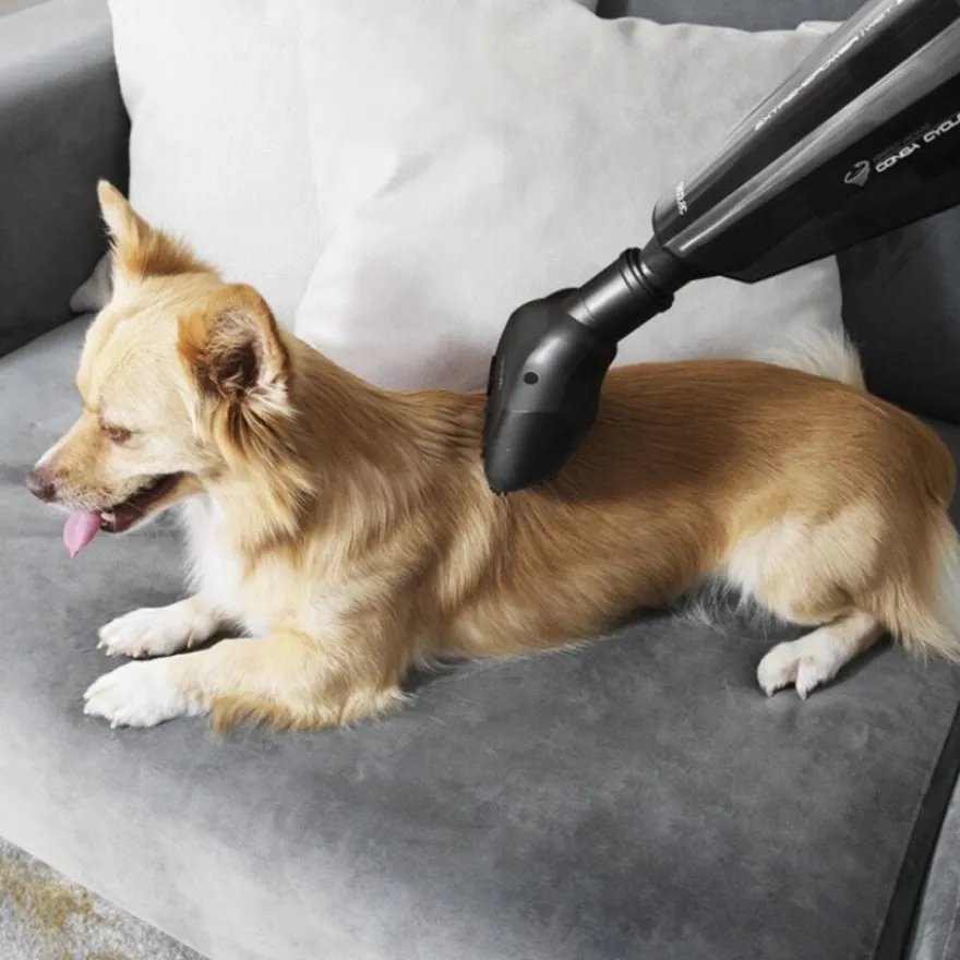 Cecotec Conga Immortal Extreme Suction 22,2 V aspiradora para hogar