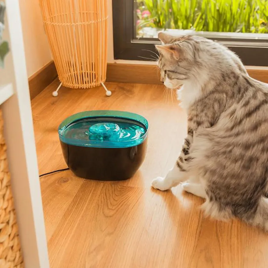 Cecotec Pumba 2200 Refresh Bebedero Automático para perros y gatos