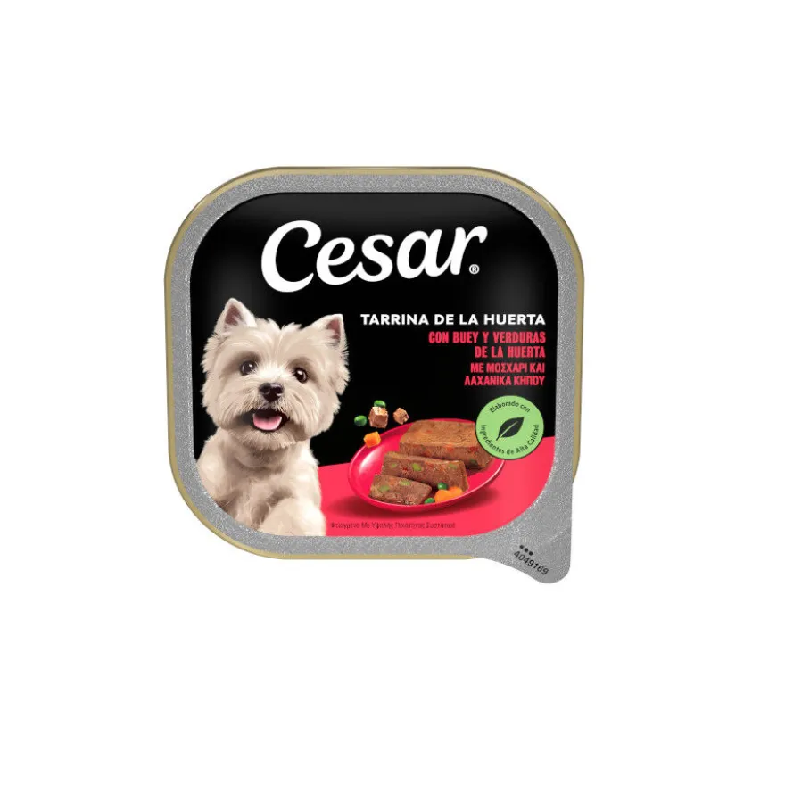 Cesar Buey y Verduras Tarrina en Gelatina para Perros
