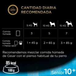 Cesar Carnes Mixtas Gelatina en Bolsita para Perros Senior - Multipack