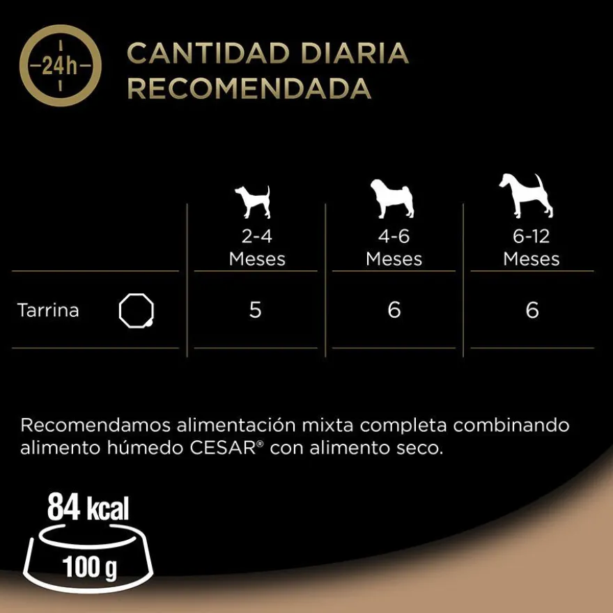 Cesar Pavo y Ternera Tarrina en Gelatina para Cachorros
