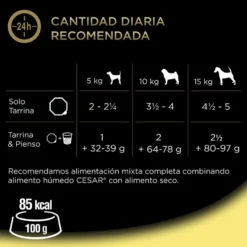Cesar Pollo y Arroz Tarrina en Gelatina para Perros Senior