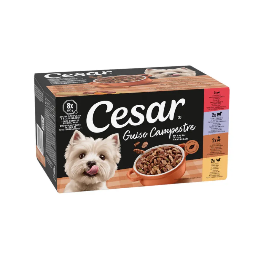 Cesar Receta campesina tarrina en Salsa para Perros - Multipack