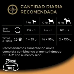 Cesar Recetas de la huerta Tarrina en Paté y Gelatina para Perros - Multipack