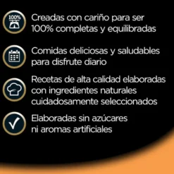 Cesar Recetas de la huerta Tarrina en Paté y Gelatina para Perros - Multipack
