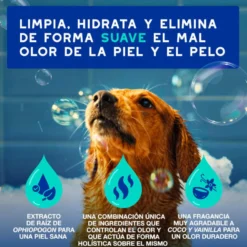 Ceva Douxo Spa Champú Antiolor para perros