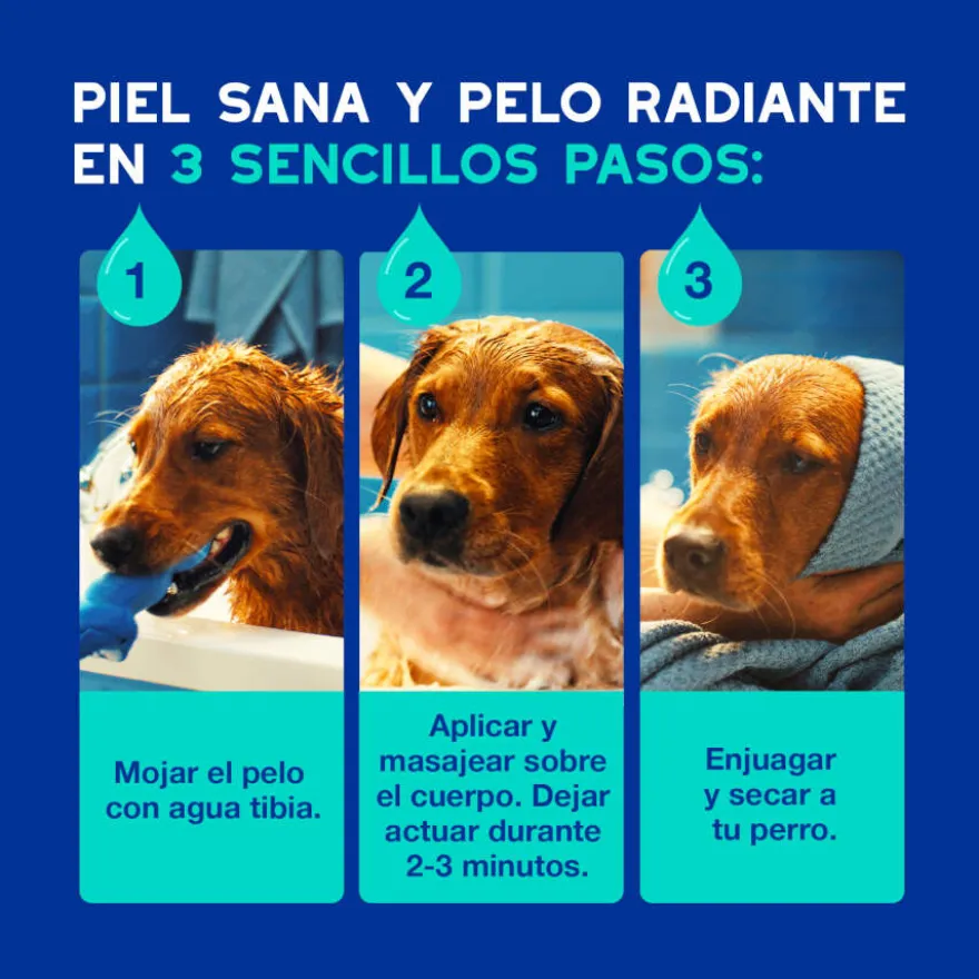 Ceva Douxo Spa Champú Antiolor para perros