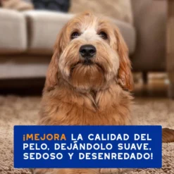 Ceva Douxo Spa Champú 2 en 1 Desenredante para perros