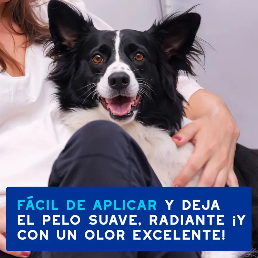 Ceva Douxo Spa Mousse Limpiador Exprés para perros