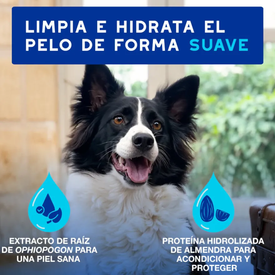 Ceva Douxo Spa Mousse Limpiador Exprés para perros