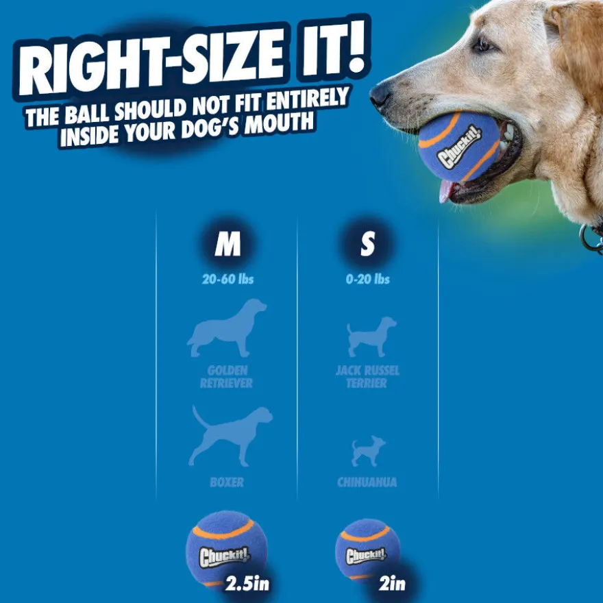 Chuckit! Squeaker Pelota de Tenis con Sonido para perros
