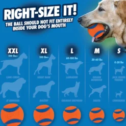 Chuckit! Ultra Pelota Grande con Brillo para perros