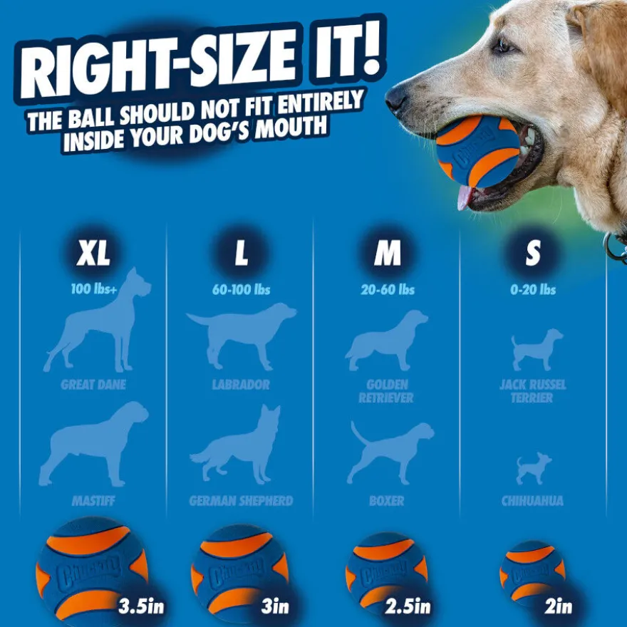 Chuckit! Ultra Squeaker Pelota con Sonido y Rebote para perros – Pack 2