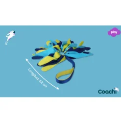 Coachi Tuggi Spider juguete con flecos para perros
