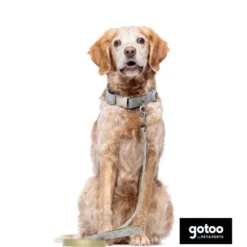 Collar estampado de hojas para perros