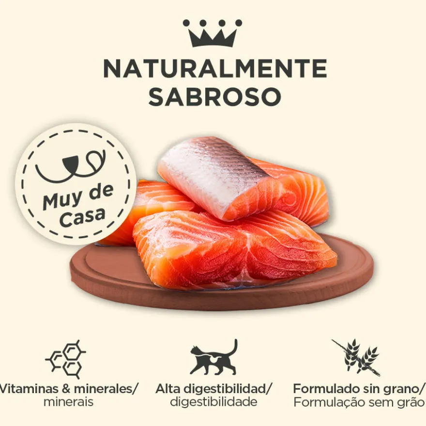 Criadores Adulto con Salmón lata para gatos
