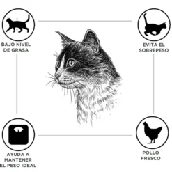 Criadores Adulto Esterilizado Pollo pienso para gatos