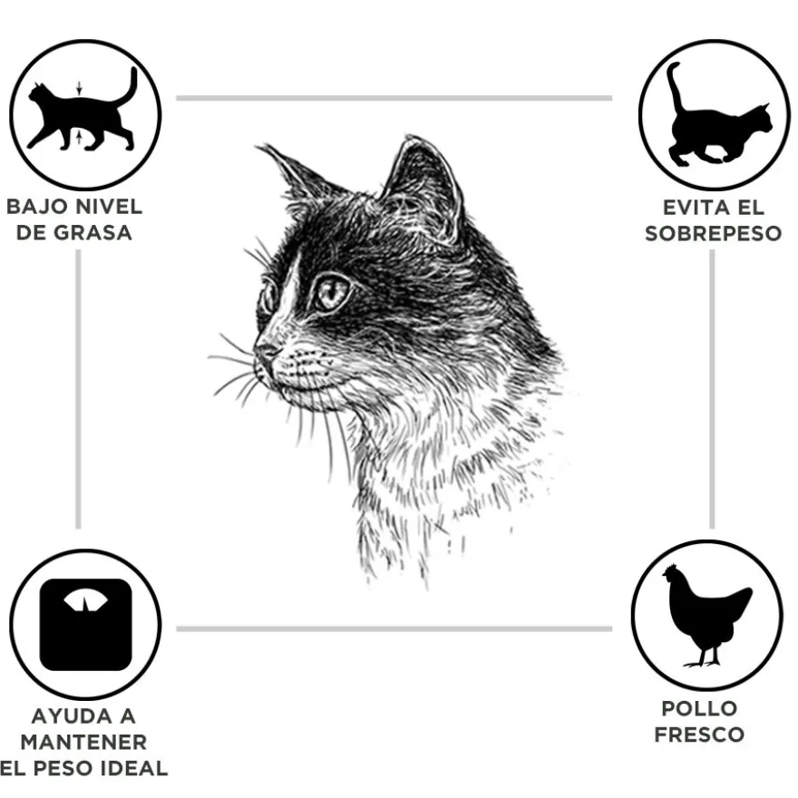 Criadores Adulto Esterilizado Pollo pienso para gatos