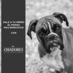 Criadores Adulto Grain Free Pavo pienso para perros de raza mediana y grande